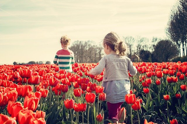 holky v tulipánech